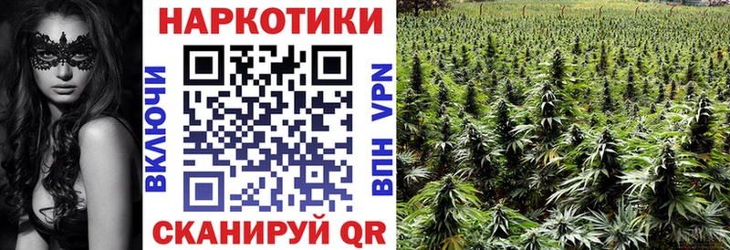 Наркота Курск Псилоцибиновые грибы  МЕГА ССЫЛКА  Мефедрон  ГАШИШ  МАРИХУАНА  КОКАИН  Alpha-PVP 